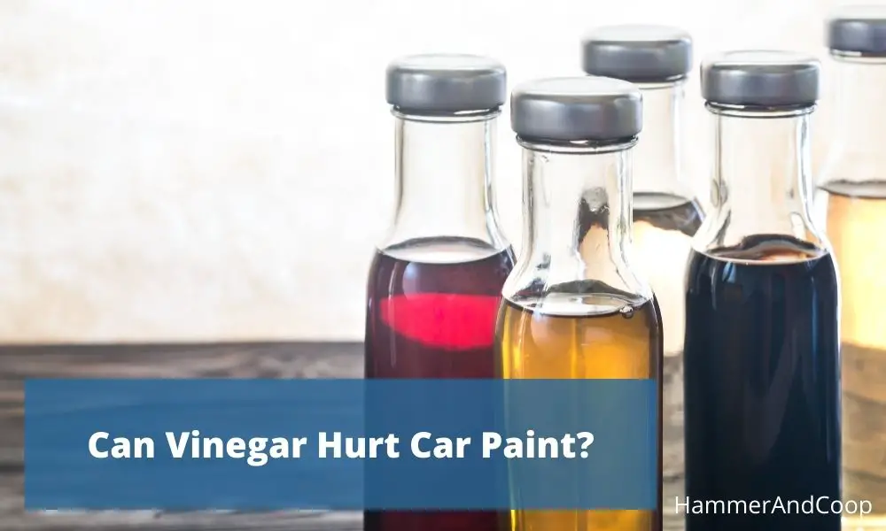 can-vinegar-hurt-car-paint