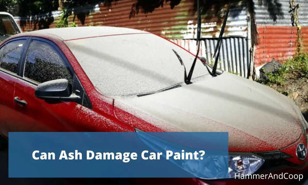 can-ash-damage-car-paint